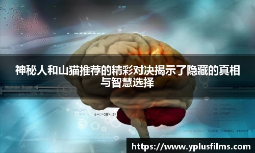 神秘人和山猫推荐的精彩对决揭示了隐藏的真相与智慧选择